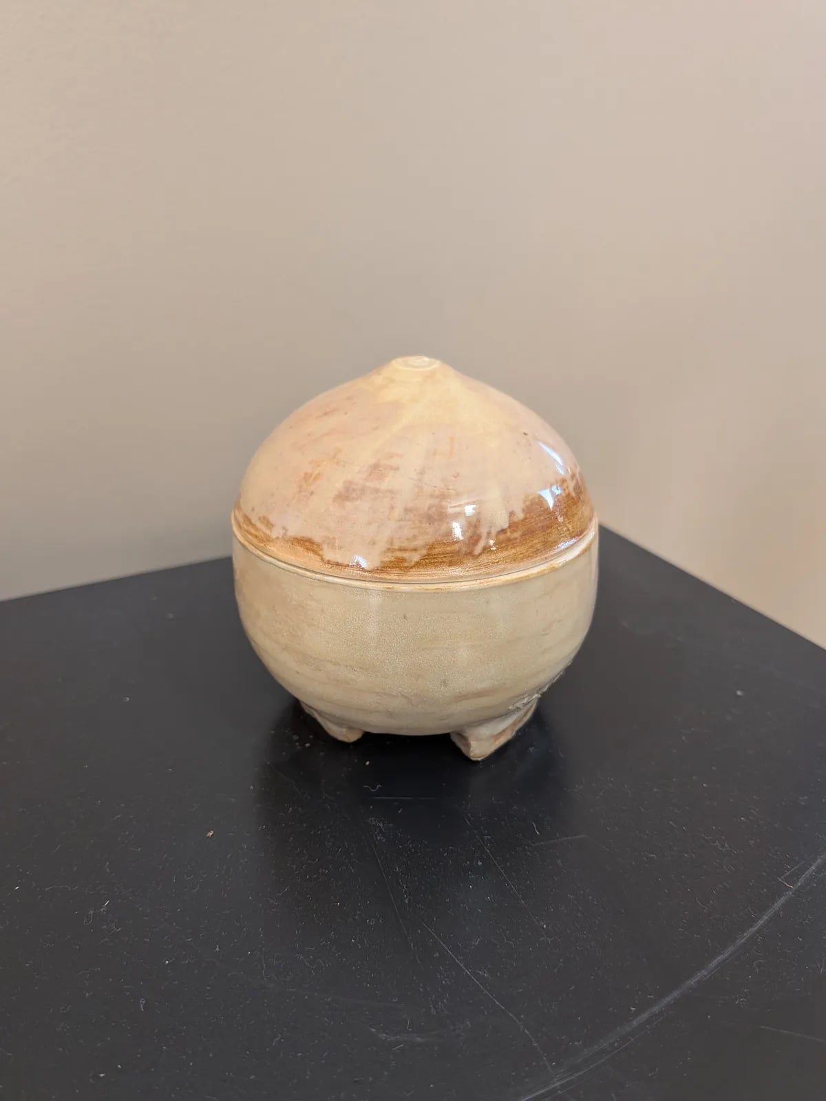 desert sand fruit fly catcher