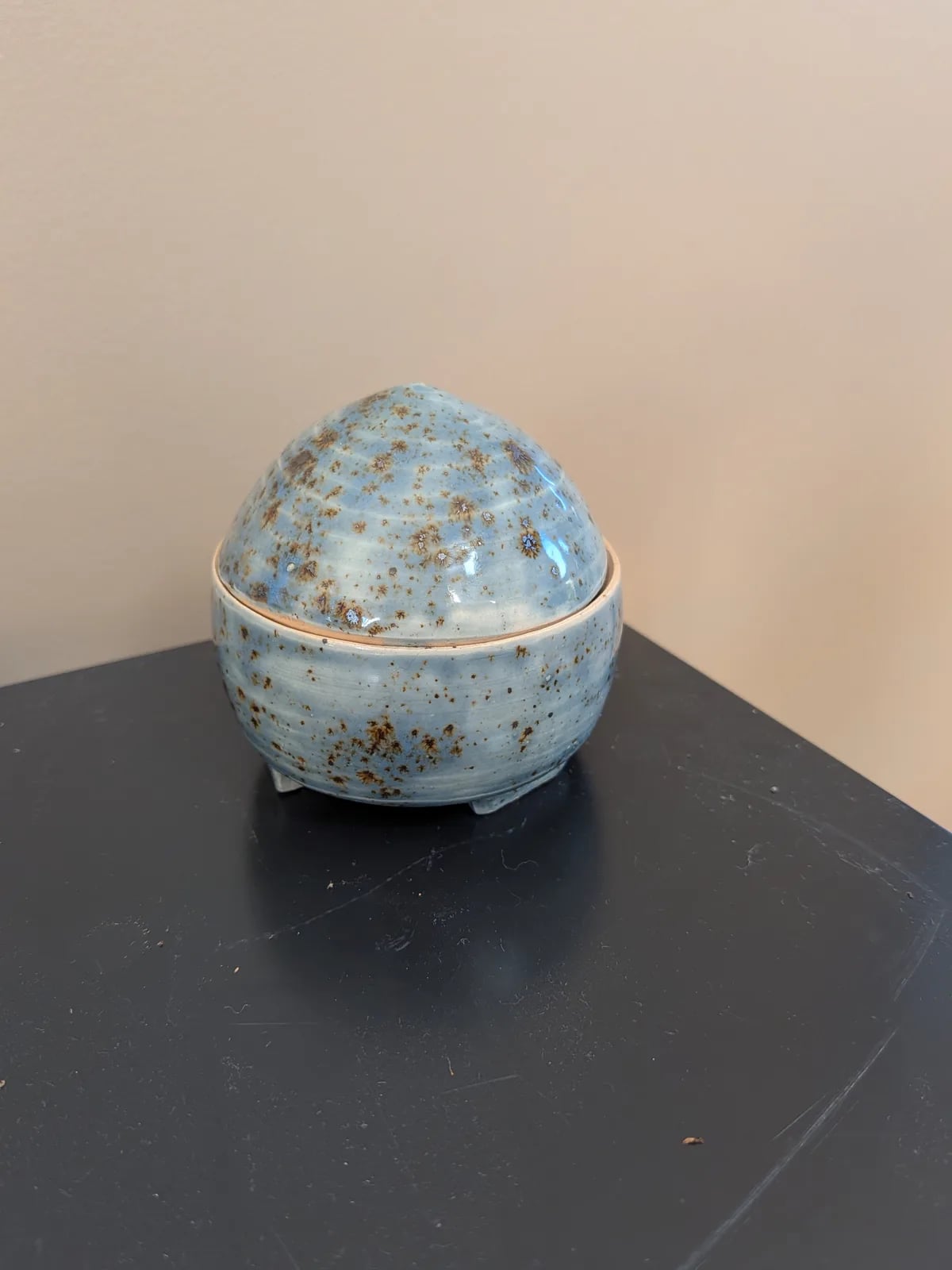 shipwreck glazed fruit fly catcher